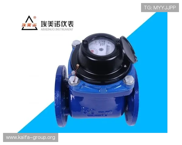 提升K8凯发平台网页版游戏安全性与防作弊措施的实用技巧